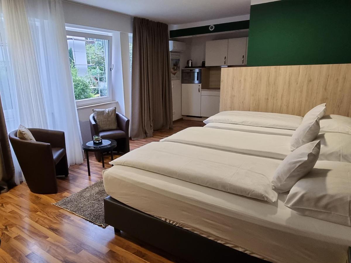 Zum Ziel Hotel Grenzach-Wyhlen Bei Basel Экстерьер фото