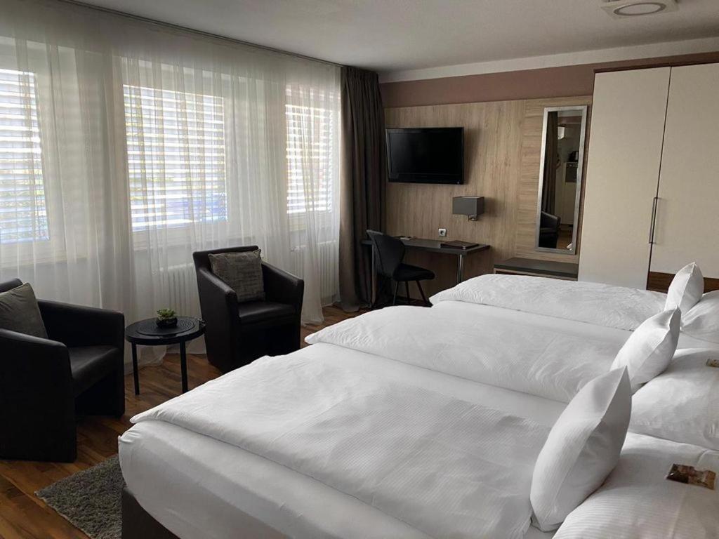 Zum Ziel Hotel Grenzach-Wyhlen Bei Basel Экстерьер фото